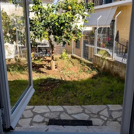 Sophie's Garden Studio